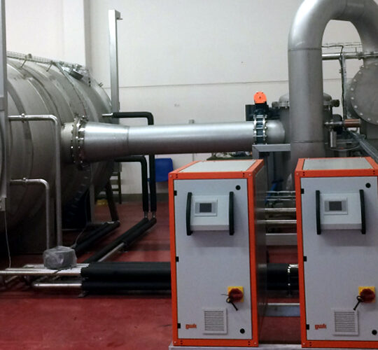 Vacuum dryer for fruit and vegetables